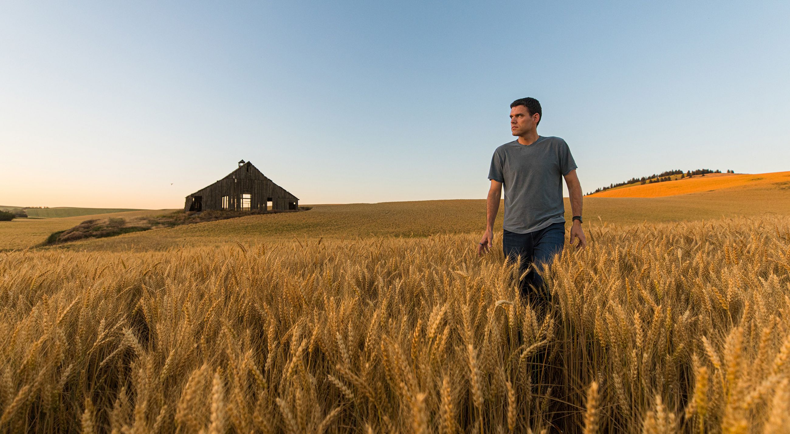 Sweeping view of Nelson Farms agricultural landscape showcasing sustainable farming practices in the Palouse