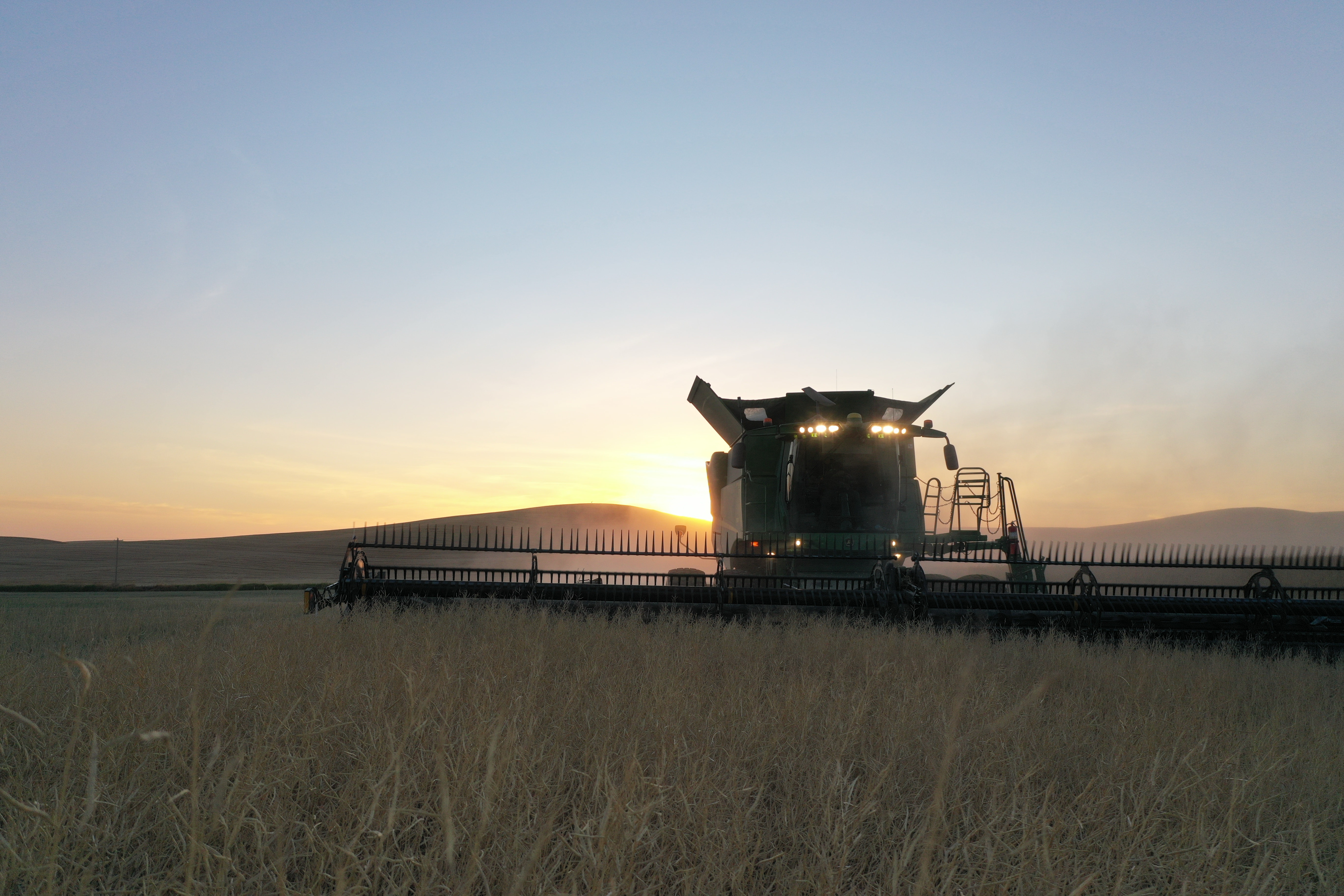 Rolling agricultural landscape at Nelson Farms during harvest season