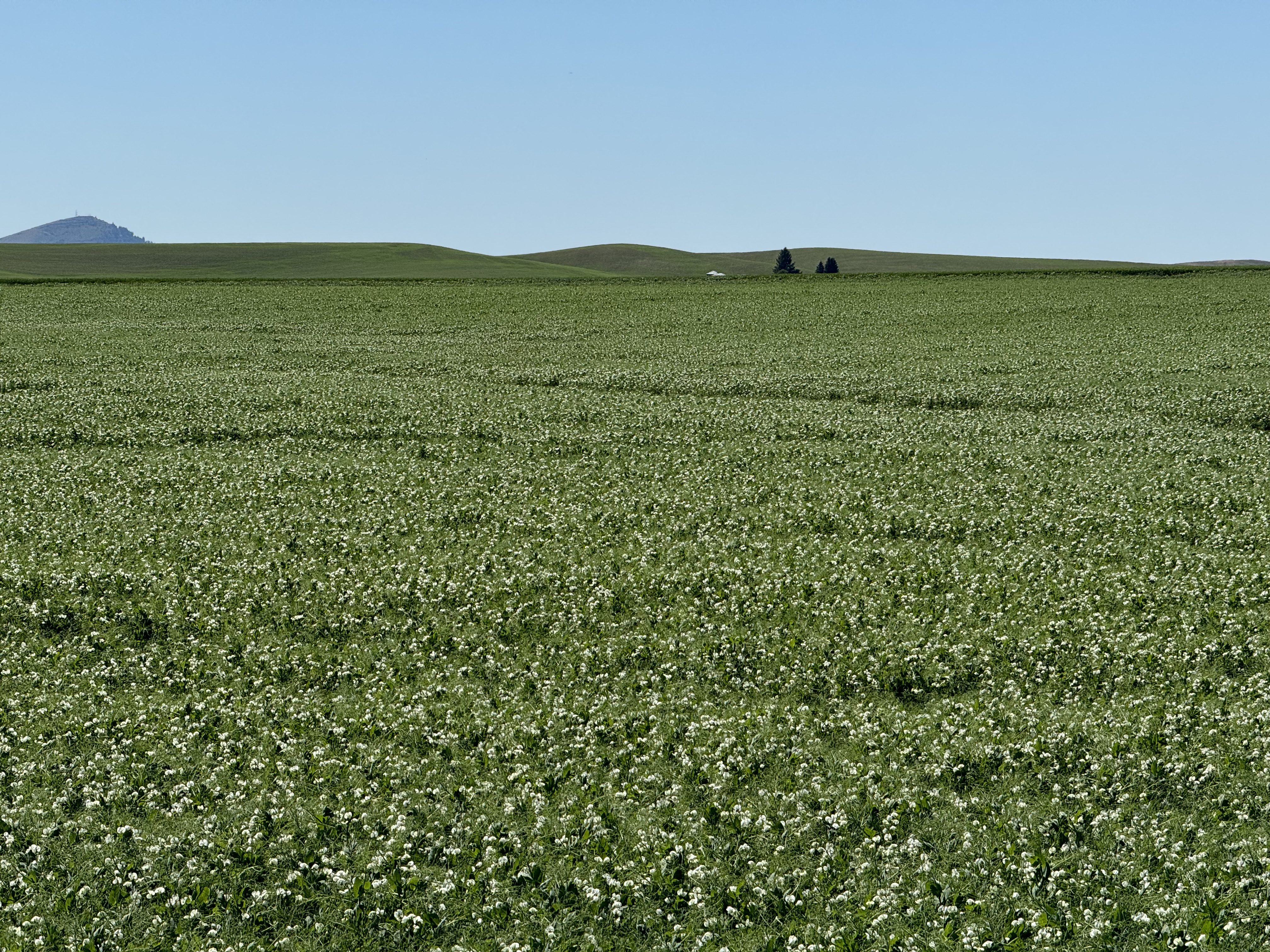 Equipment and field conditions at a working farm operation