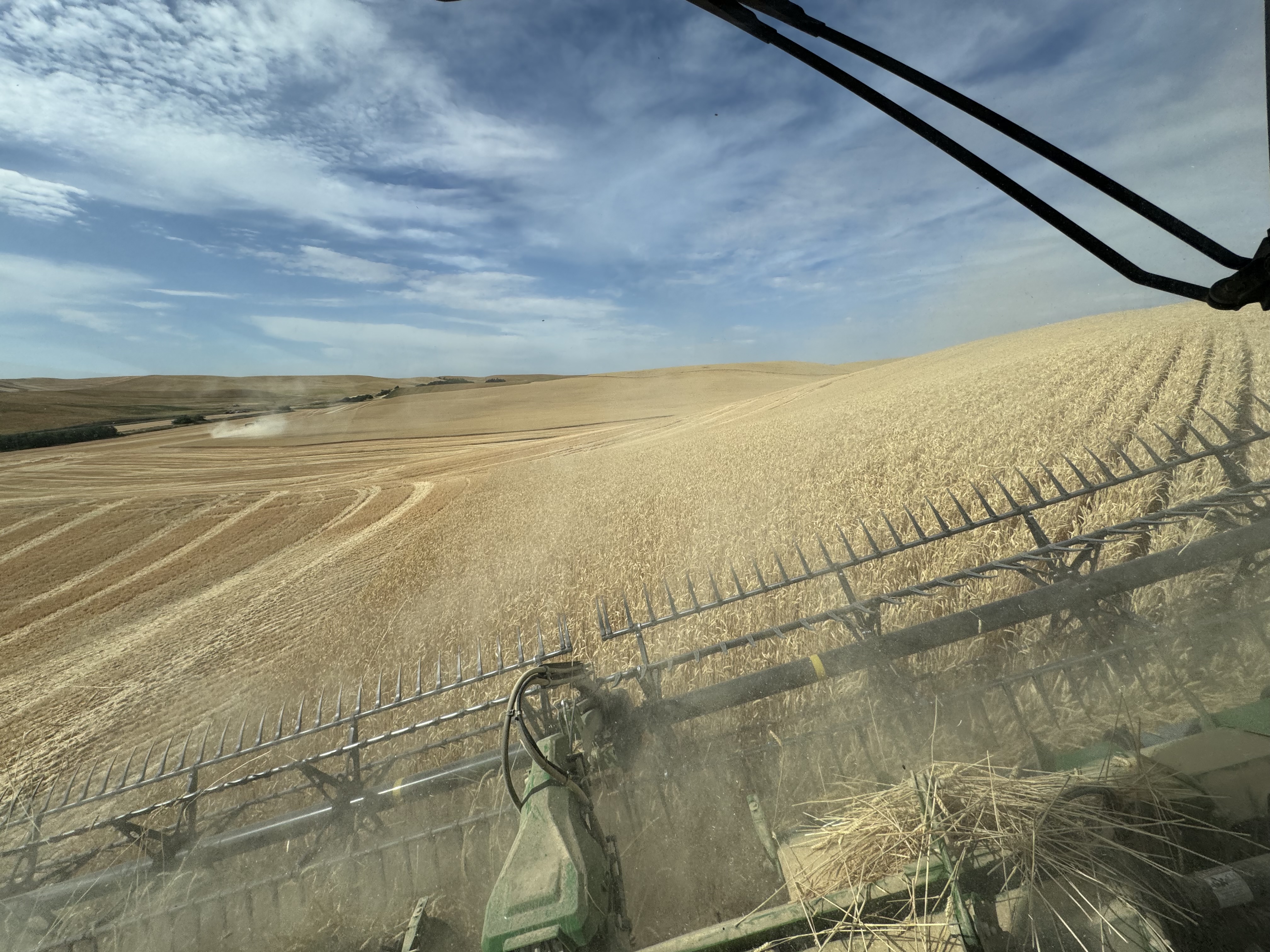 Palouse landscape with a working farm field