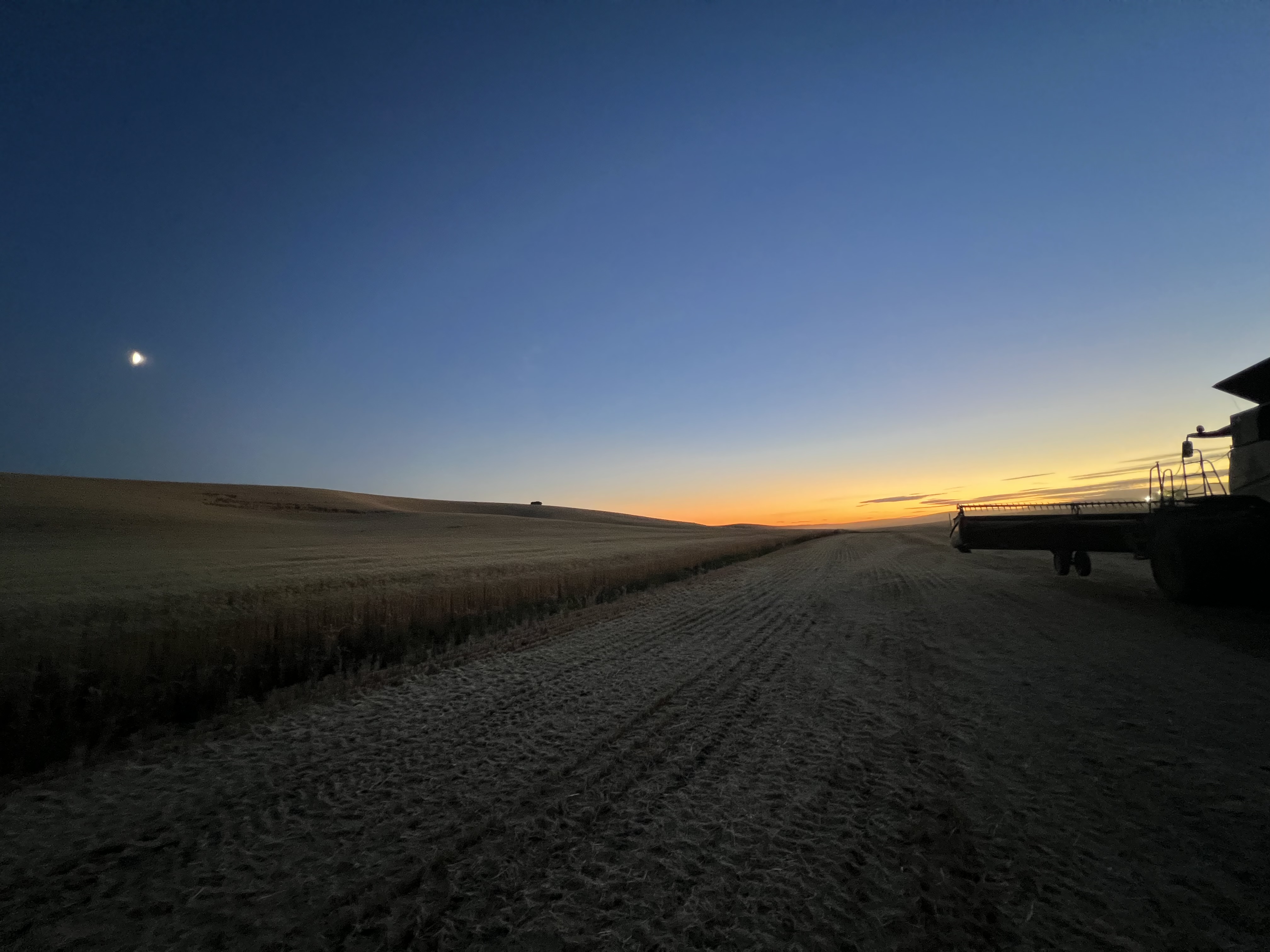 A farm field with rows and equipment in the distance